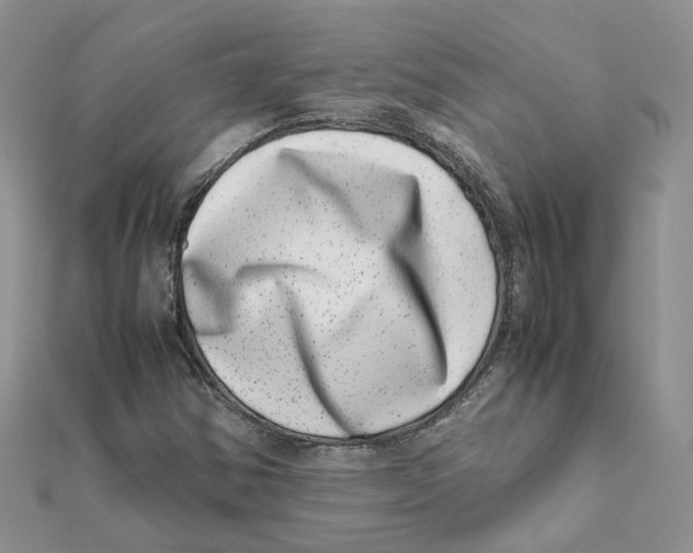 X0000111661354200908141305