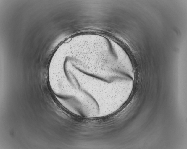 X0000111661355200908141304