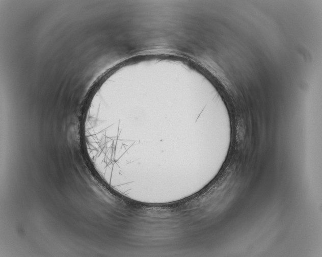 X0000111661356200908141304