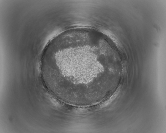 X0000111661357200908141304