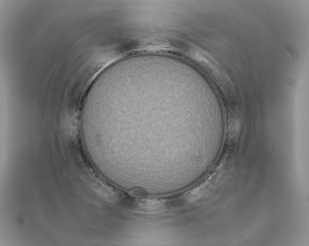 X0000111661361200908141304