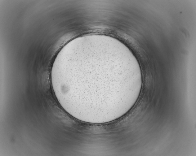 X0000111661362200908141304