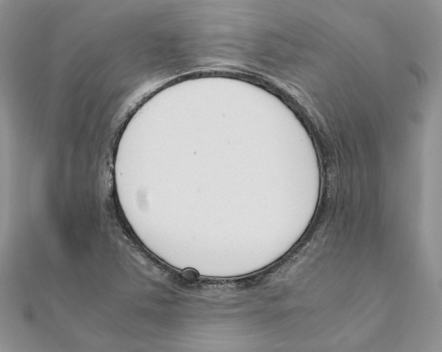 X0000111661363200908141304