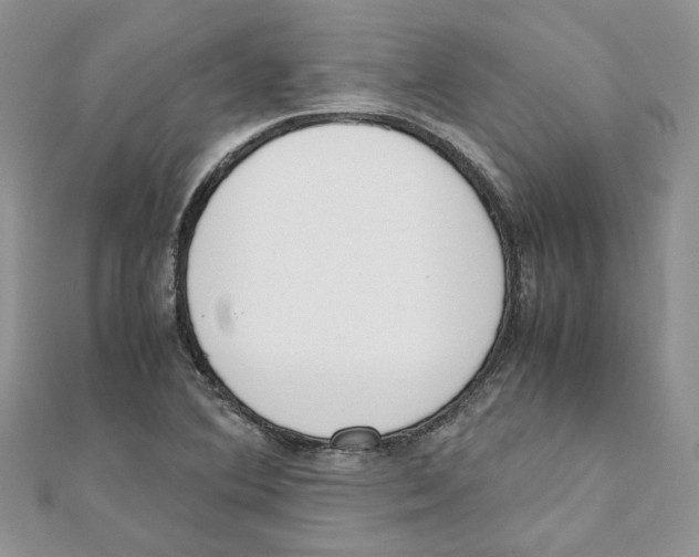 X0000111661364200908141304