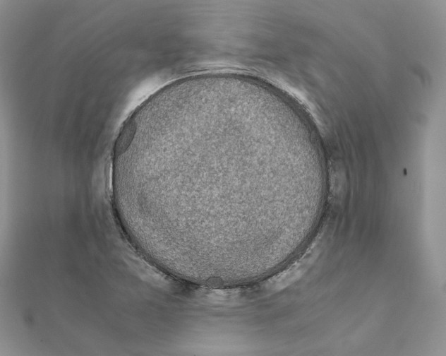 X0000111661365200908141304