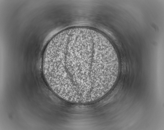 X0000111661366200908141304