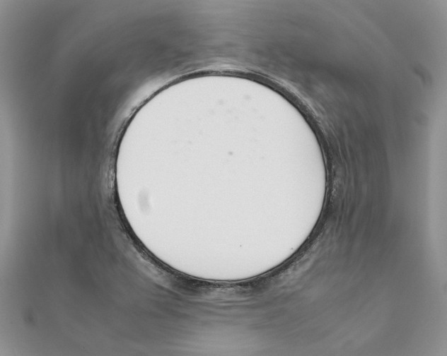 X0000111661367200908141304