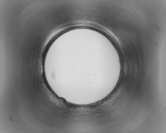 X0000111661368200908141304