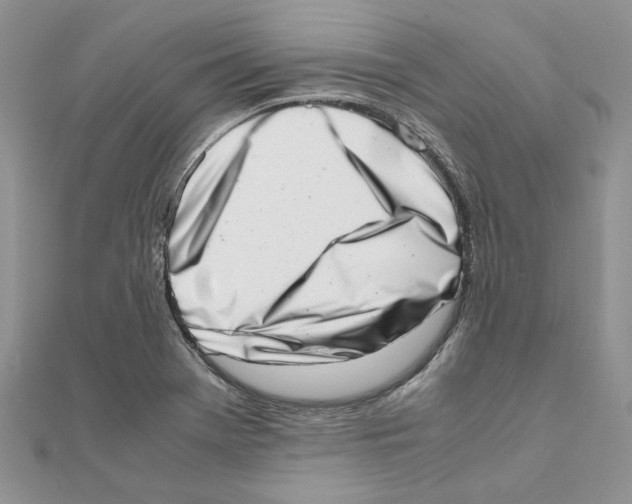 X0000111661369200908141304