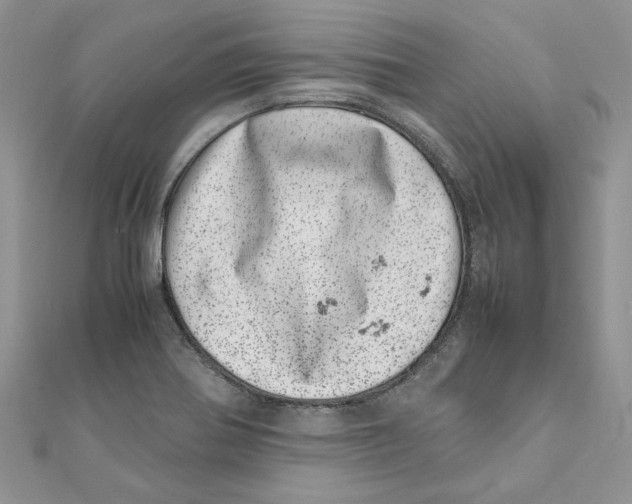 X0000111661370200908141304