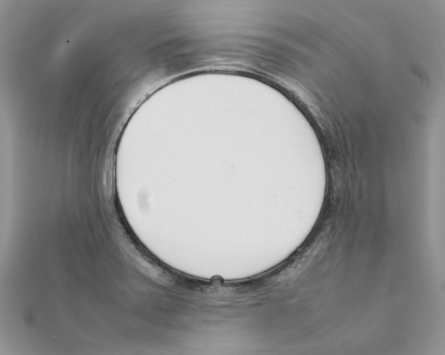 X0000111661371200908141304