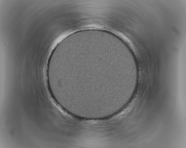 X0000111661373200908141304