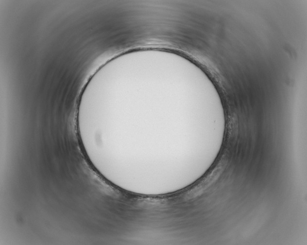 X0000111661374200908141304