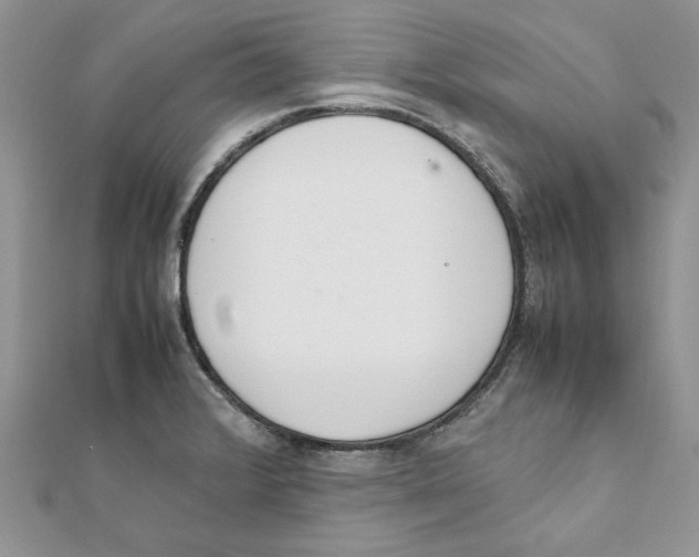 X0000111661376200908141304