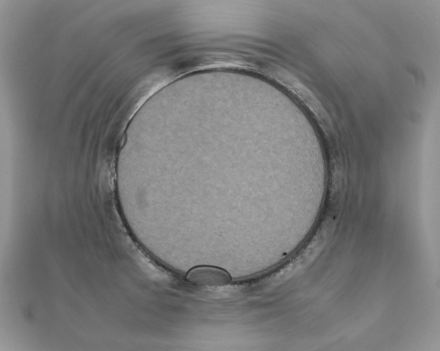 X0000111661377200908141304