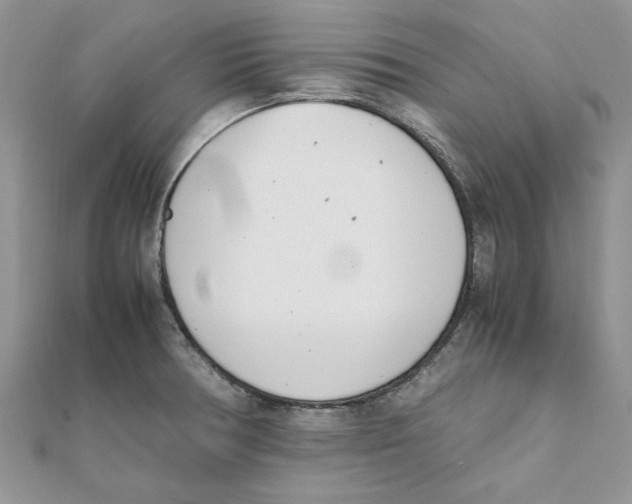 X0000111661378200908141304