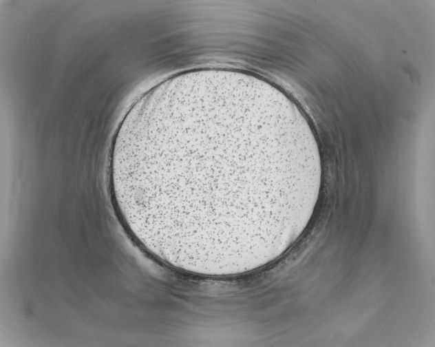 X0000111661379200908141304