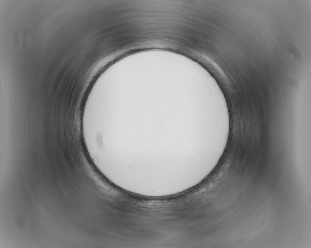 X0000111661380200908141304