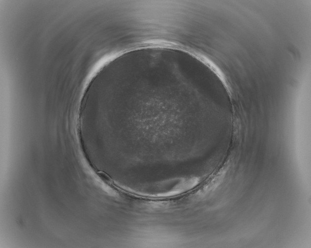 X0000111661381200908141304