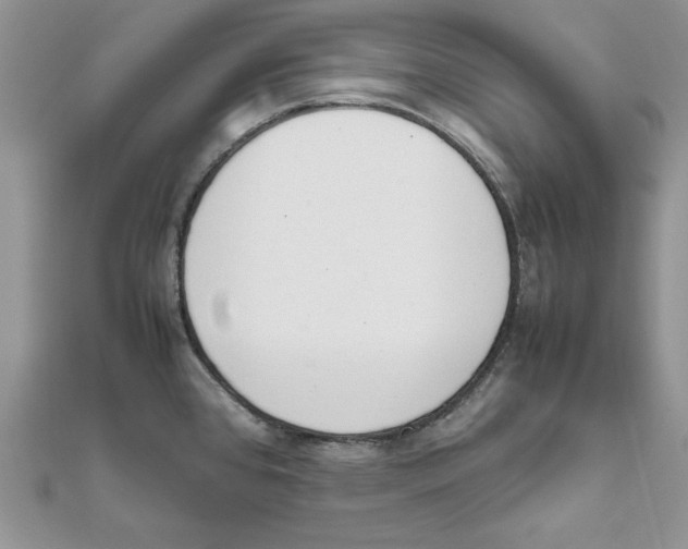 X0000111661384200908141304