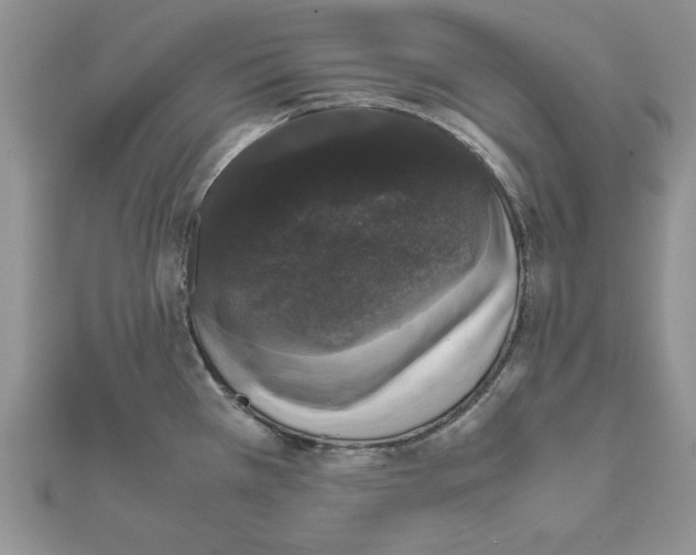 X0000111661385200908141304