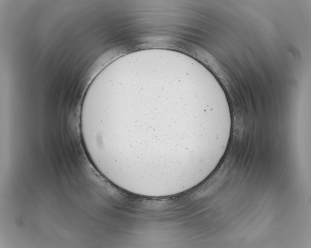 X0000111661386200908141304