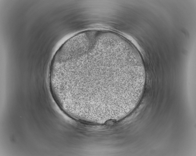 X0000111661387200908141304