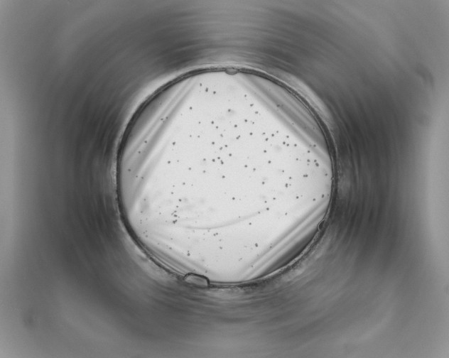 X0000111661388200908141304