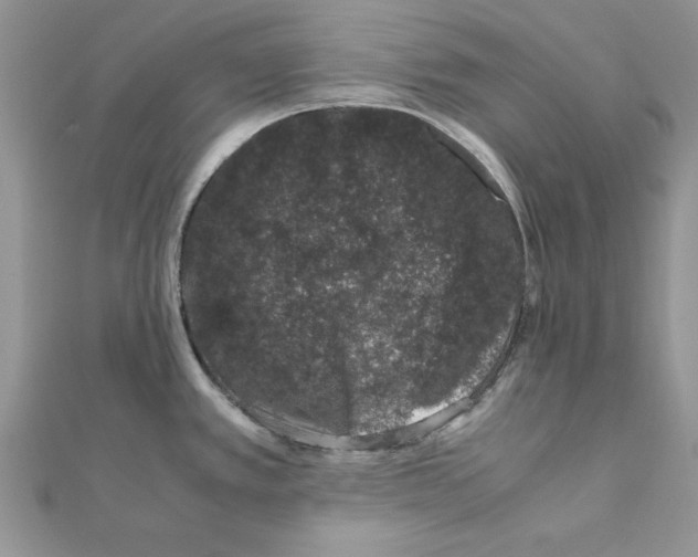 X0000111661389200908141304