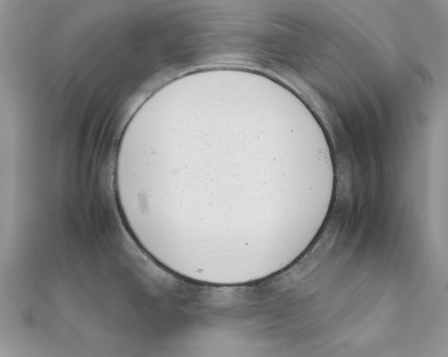 X0000111661390200908141304