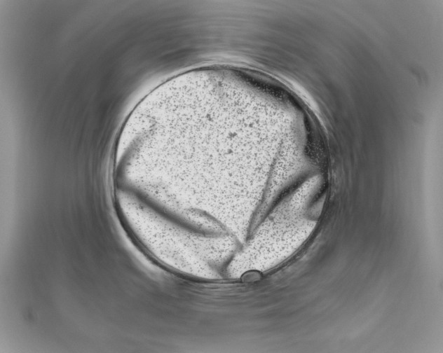 X0000111661391200908141304