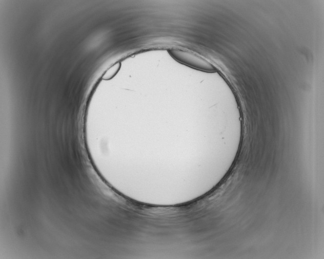 X0000111661392200908141304