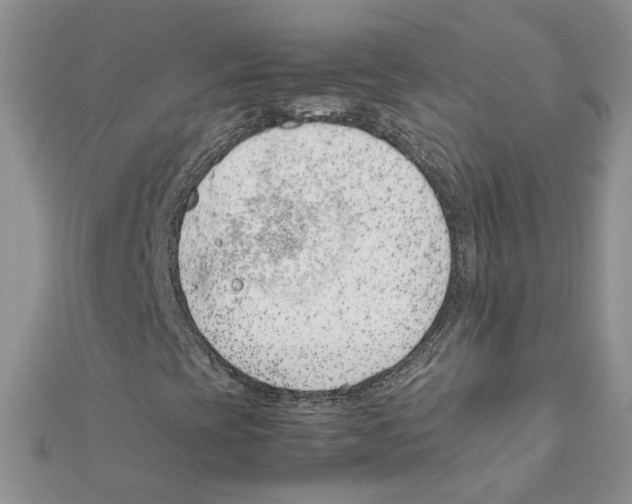 X0000111661393200908141303