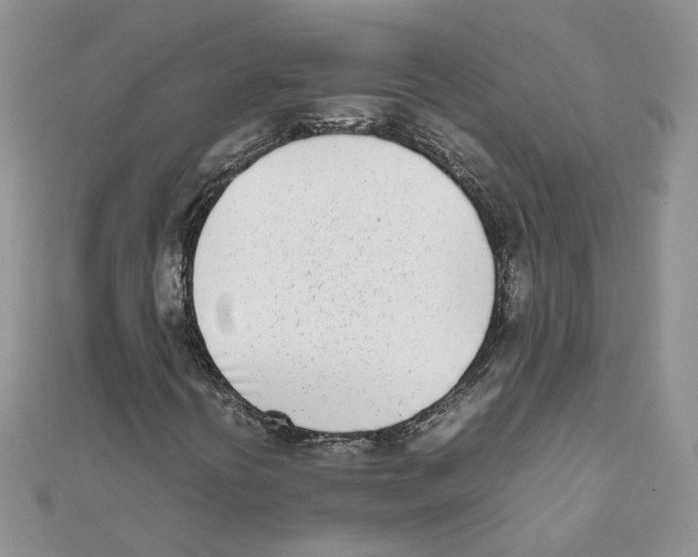 X0000111661394200908141303