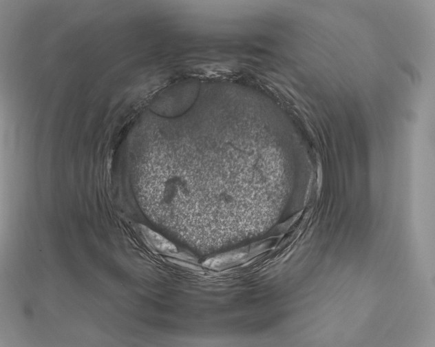 X0000111661395200908141303