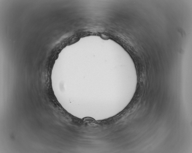 X0000111661398200908141303