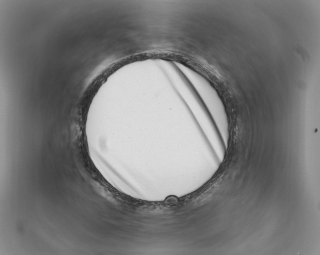 X0000111661400200908141303