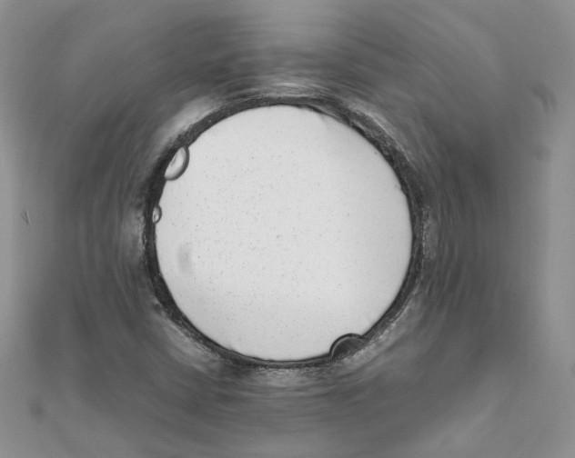 X0000111661402200908141303