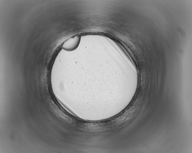 X0000111661404200908141303