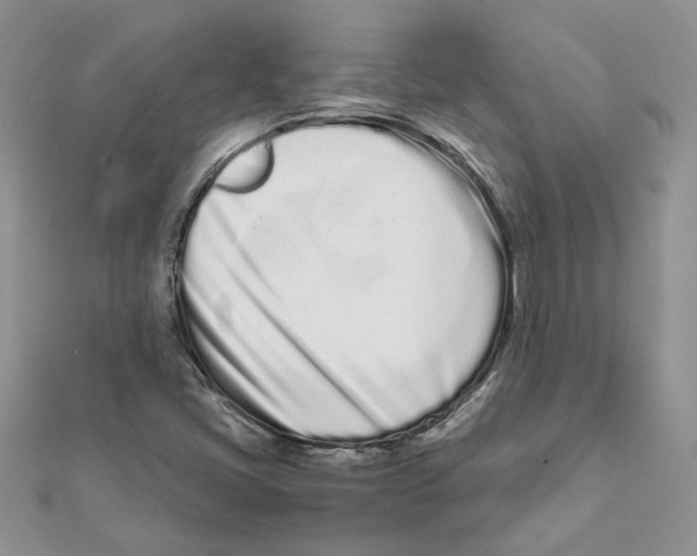 X0000111661405200908141303