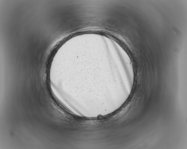 X0000111661406200908141303