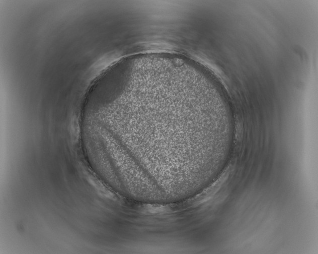 X0000111661407200908141303