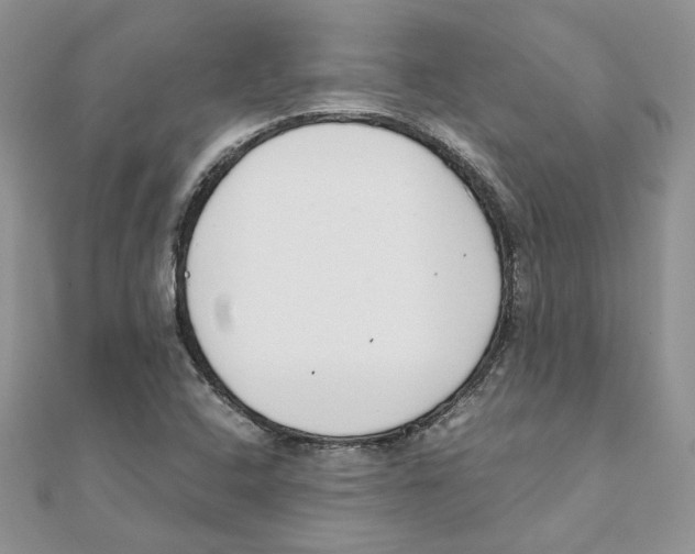 X0000111661408200908141303