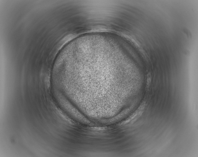 X0000111661409200908141303