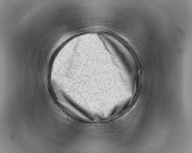 X0000111661410200908141303