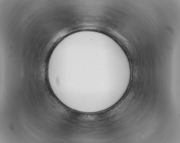 X0000111661411200908141303