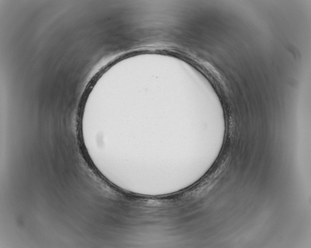 X0000111661412200908141303