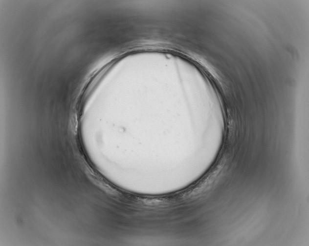 X0000111661413200908141304