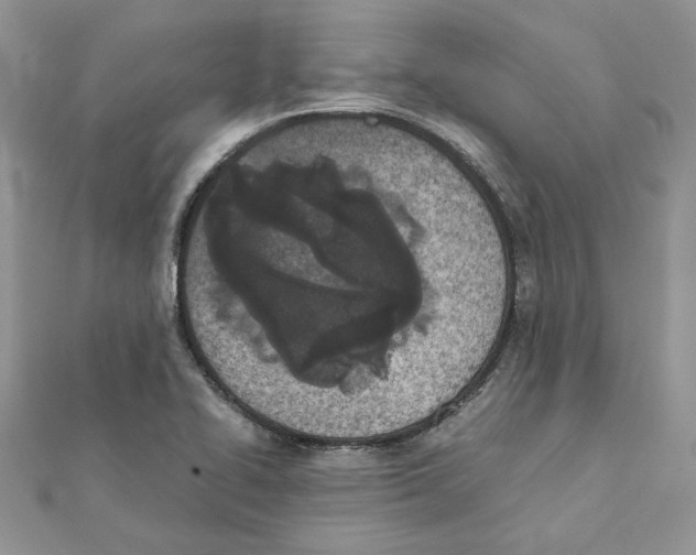 X0000111661414200908141304