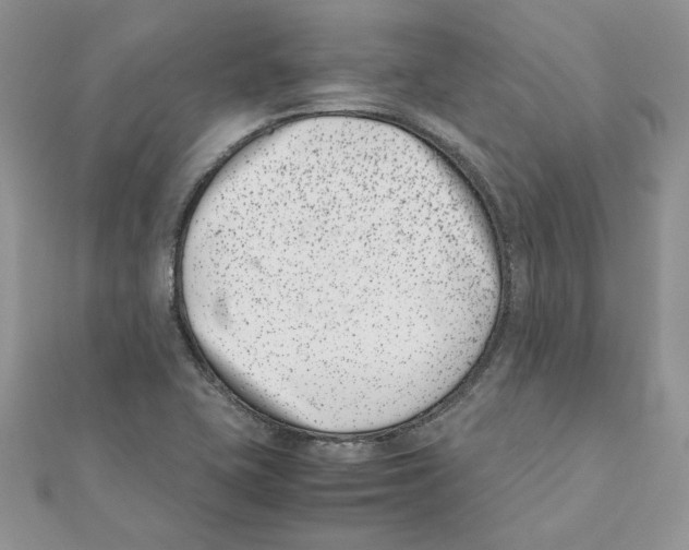 X0000111661415200908141304